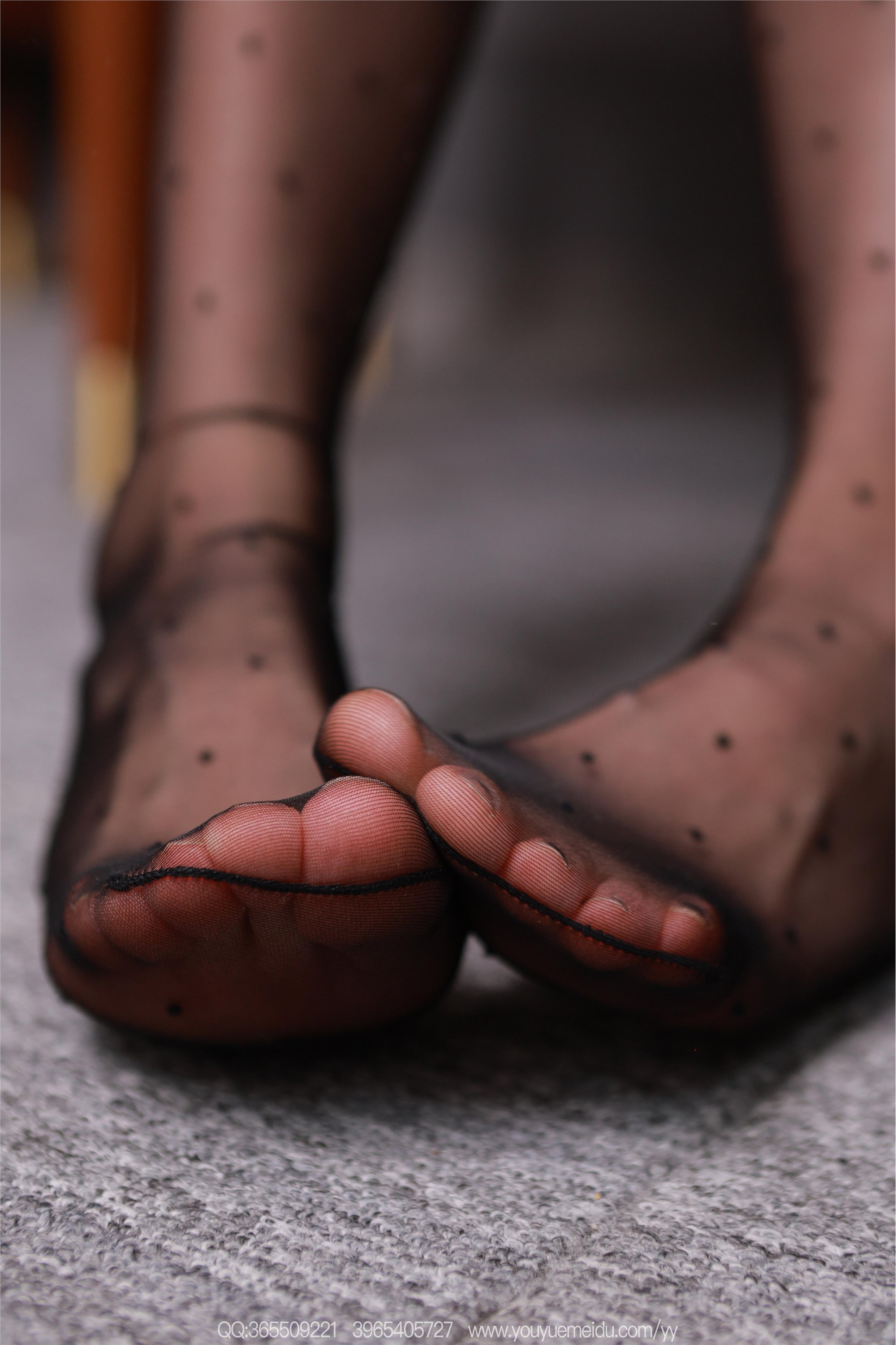 IESS异思趣向  2025.12.03 丝享家2227：小婕《波点丝袜（下）》